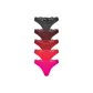 5 Pack (FLAMINGO MULTI/Flamingo Multicolor)