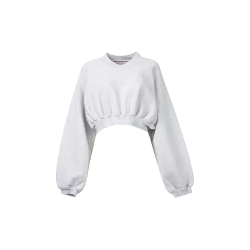 alexander wang Wmns V-neck Logo Embroidery Sweatshirt Gray Female