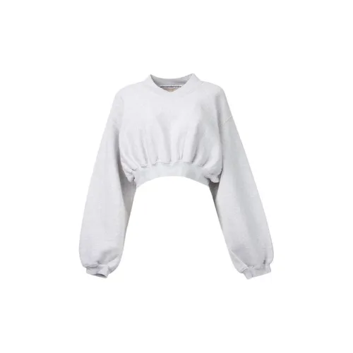 Alexander Wang Sweatshirt Women's Gray