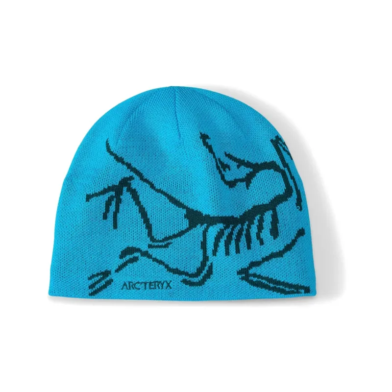 Arc'teryx Bird Head Toque-0