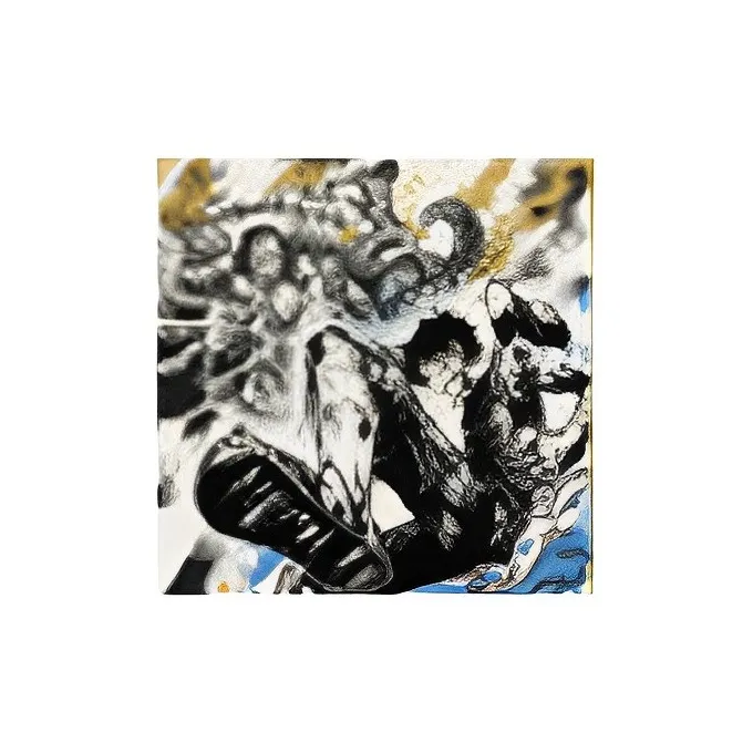BANDAI One Piece Other Characters A Reward People Possessed By Demons D Reward Anime Merchandise-1