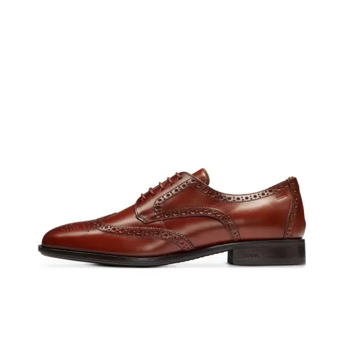 HUGO BOSS Dress Shoes Men Low-Top Brown