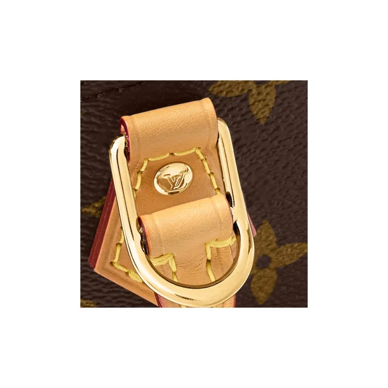 LOUIS VUITTON Nano Alma Monogram-3