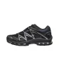 Black/Ebony/Metallic Silver