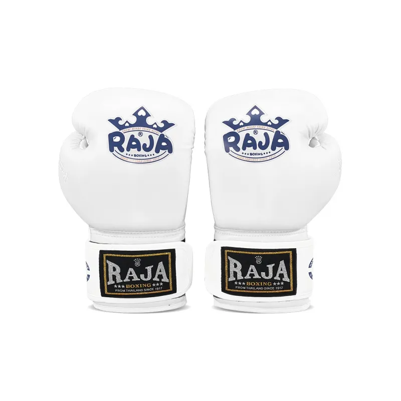 Raja boxing Boxing Gloves-0
