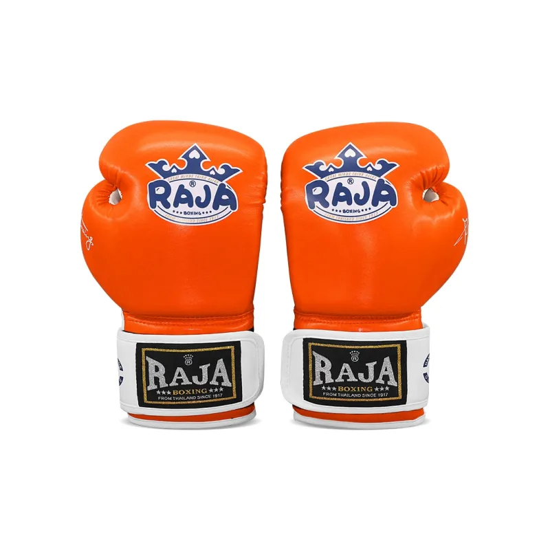 Raja boxing Boxing Gloves-4