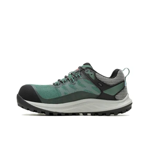 MERRELL Women's Antora 3 CF 'Pine Green'