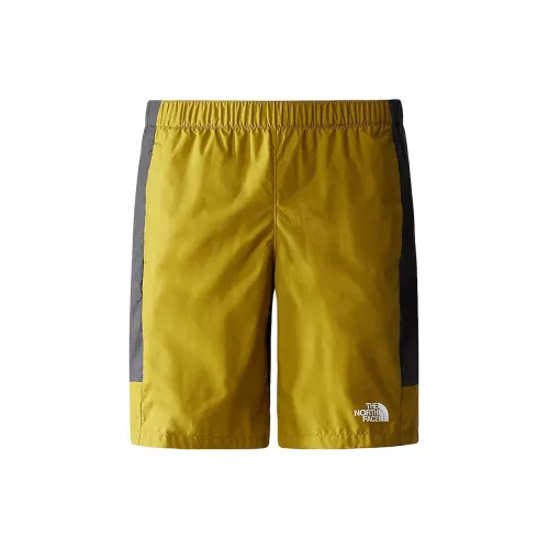 THE NORTH FACE Sports Shorts Men Sulfur Moss