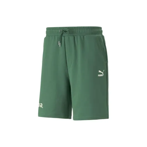 PUMA TEAM Sports Shorts Men Green