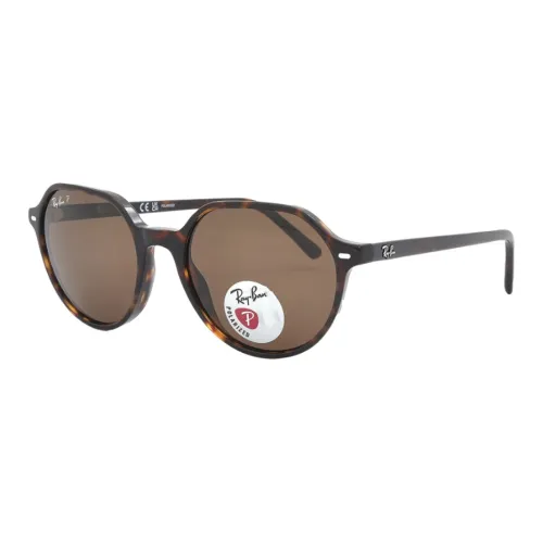 RayBan Plastic Irregular Shape Sunglasses Unisex Brown
