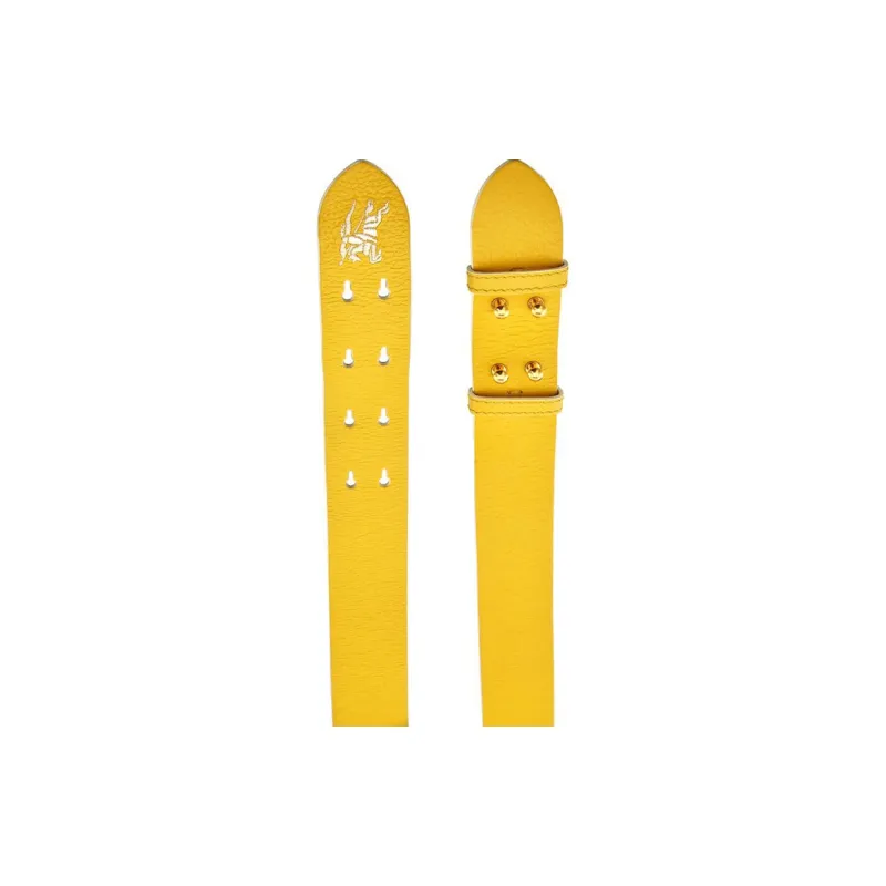 Burberry Leather Bag Straps Women's Bright Fallen Leaves Pine Yellow-1