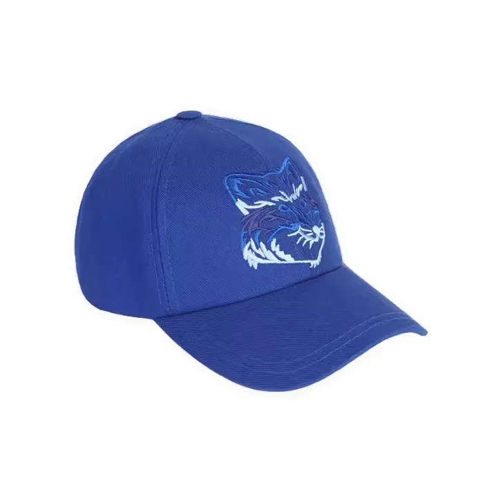 Maison Kitsune Baseball Caps Unisex Blue-0