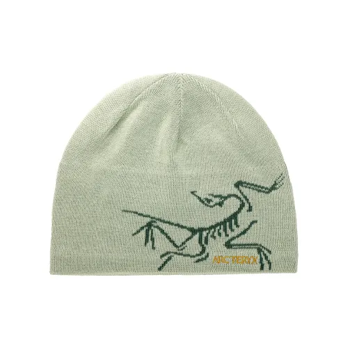 Arcteryx Beanies Unisex Multicolor