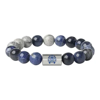Rastaclat Tiger's Eye Stone Small Lion Chinese Style Jade Bracelet Unisex