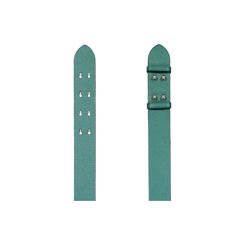 Burberry Grained Leather Bag Straps Small Size Women's Sea Green-1