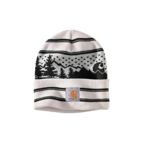 Carhartt Beanies Unisex Multicolor