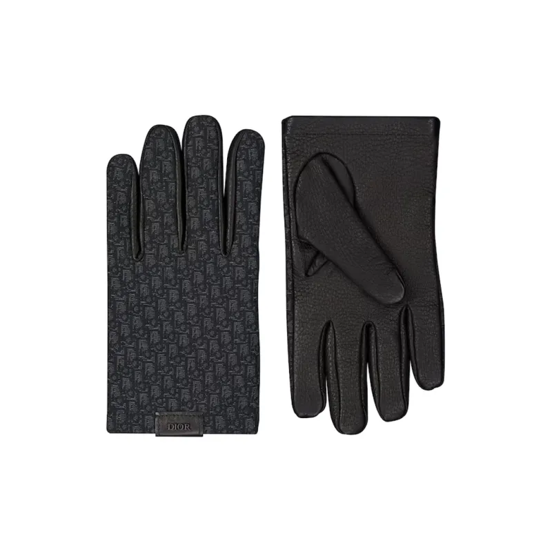 DIOR Gloves Men-0