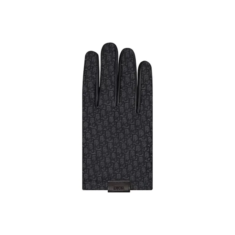 DIOR Gloves Men-1