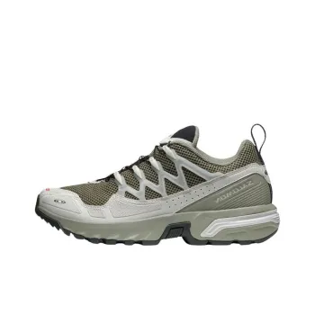 SALOMON ACS+ OG 'Shadow Urban Chic'