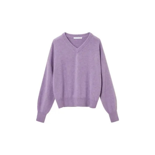 OVV Knitwear Women's Pink Purple Pure Color A1