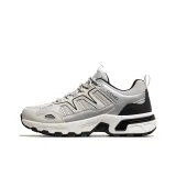 Silver Gray