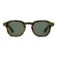 Tortoiseshell