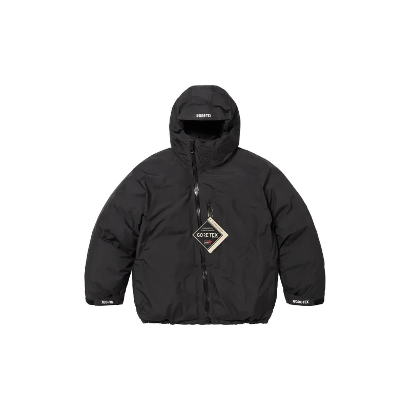 Supreme GORE TEX 700 Fill Down Parka FW23-16