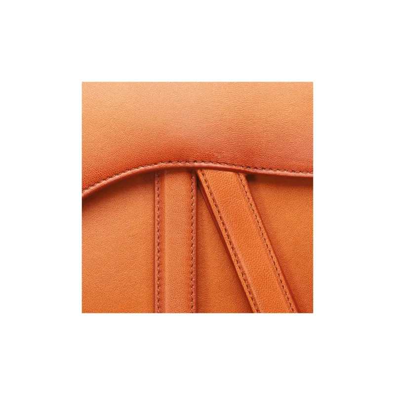 DIOR Lambskin Saddle Bag, Shoulder Bag, Crossbody Bag, Handbag Women's Bronze-5