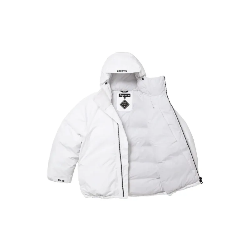 Supreme GORE TEX 700 Fill Down Parka FW23-9