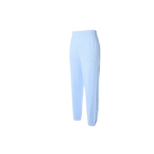 Adidas Originals Knitted Sweatpants Women's Light Pink Blue