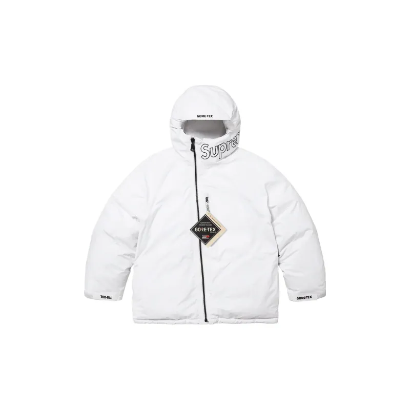 Supreme GORE TEX 700 Fill Down Parka FW23-11