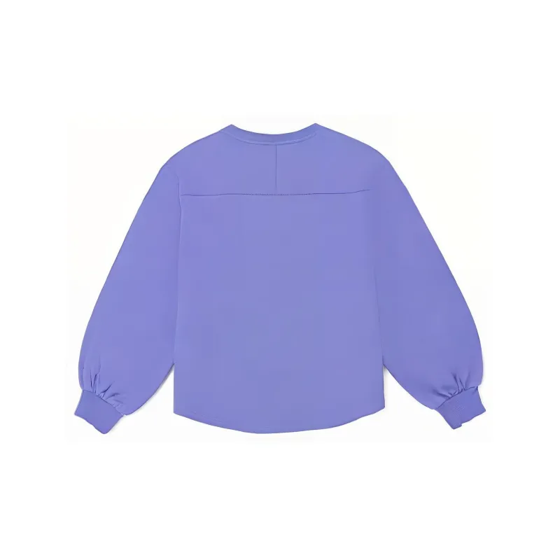 Dickies Sweatshirt Women's Light Purple-1