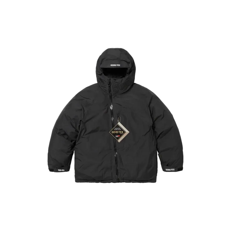 Supreme GORE TEX 700 Fill Down Parka FW23-17