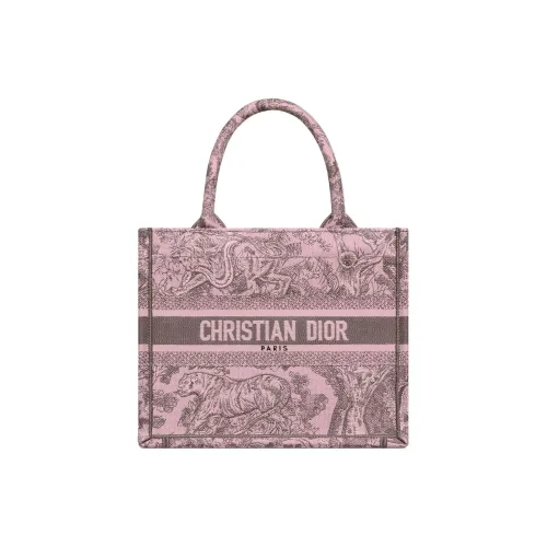 DIOR BookTote Handbags