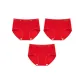 [8793]Plum Blossom+GOOD-LUCK Style+Auspicious Fortune Style