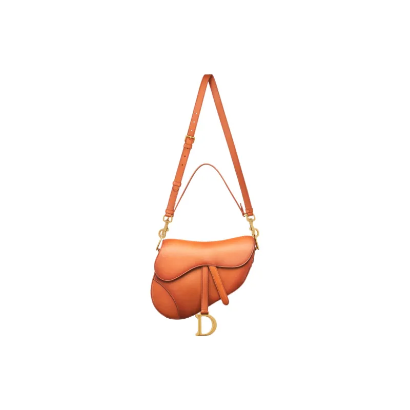 DIOR Lambskin Saddle Bag, Shoulder Bag, Crossbody Bag, Handbag Women's Bronze-1