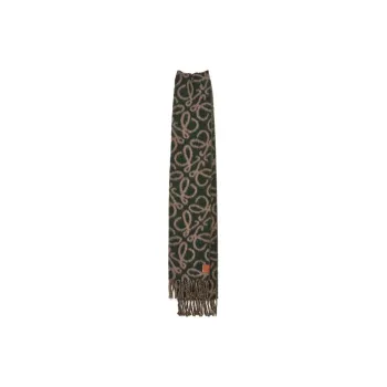 LOEWE Knit Scarves Unisex Brown Green