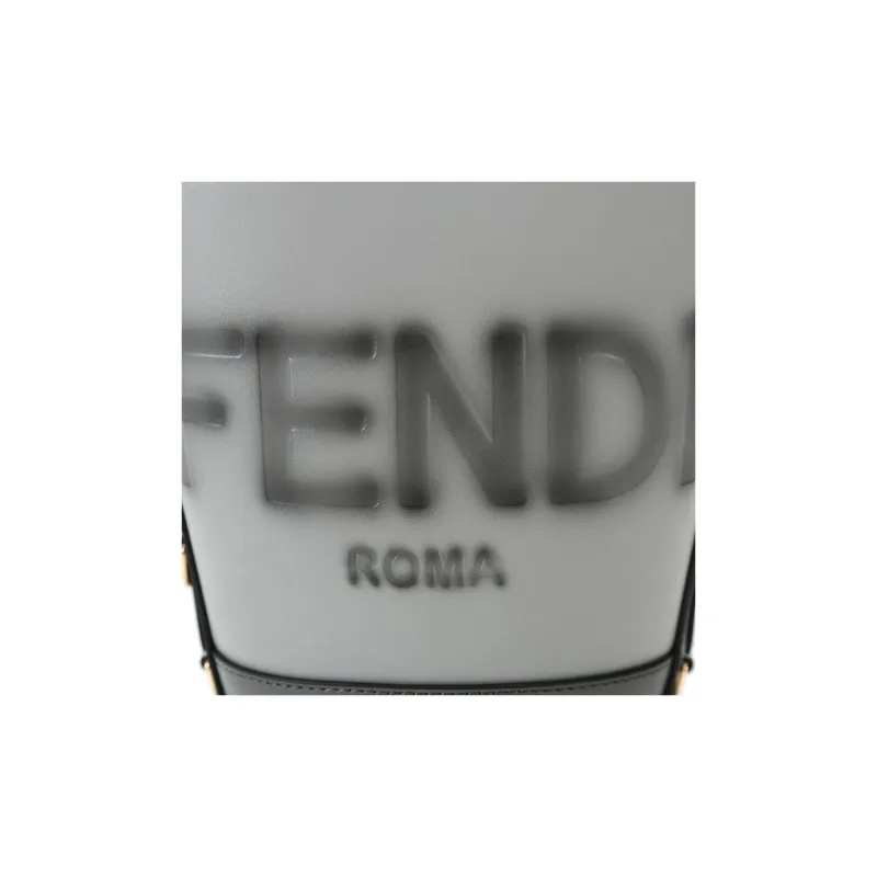 FENDI Cow Leather One Shoulder Handbag, Crossbody Bag Regular Women's Gray-3