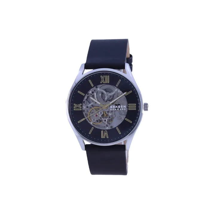 SKAGEN Wrist Watch Automatic Mechanical Movement Leather Watch Bands 42mm Black Dial Men's Watches-0