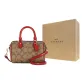 Bag+Dust Bag+Yellow Box