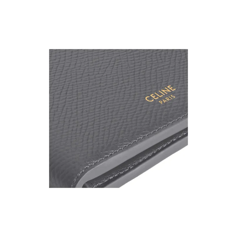 CELINE Grained Calfskin Wallet Men's Gray-4