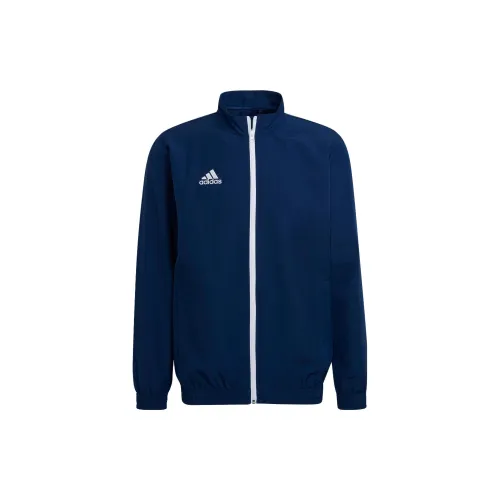 Adidas Entrada 22 Jackets Men Blue