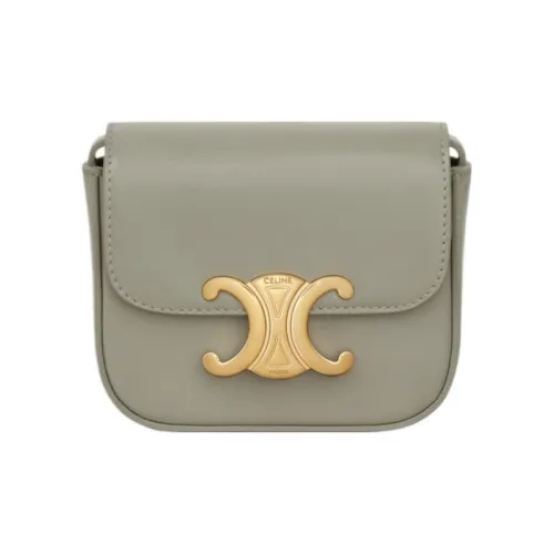 CELINE Triomphe Shiny Cow Leather Shoulder Bag Crossbody Bag Mini Women's Gray Green