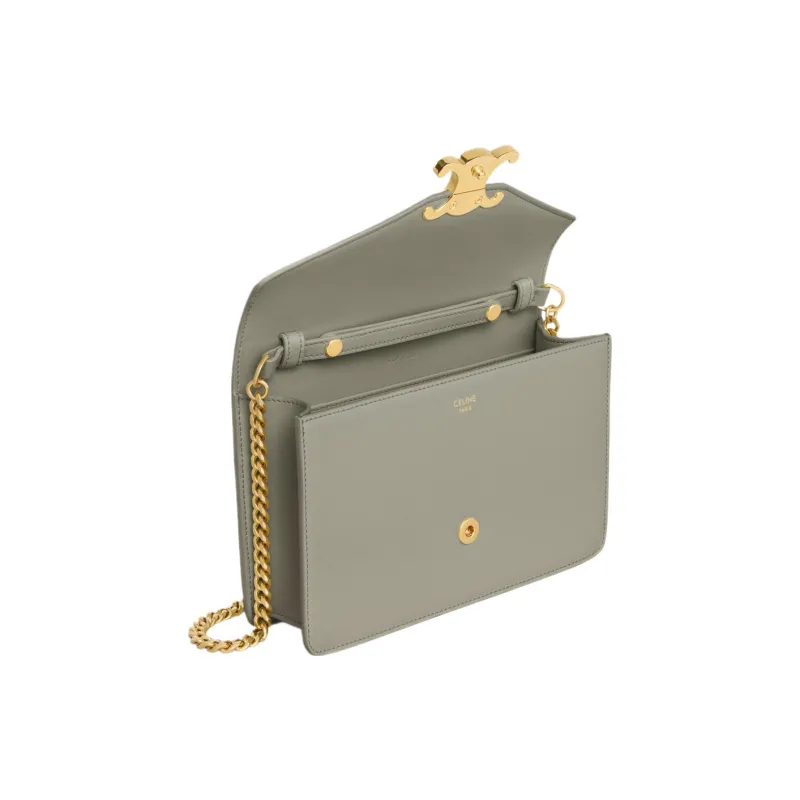 CELINE Shiny Cow Leather Shoulder Bag, Crossbody Bag, Wallet Mini Women's Gray Green-3