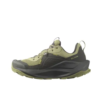 SALOMON Elixir GORE TEX 'Black Dried Herb'