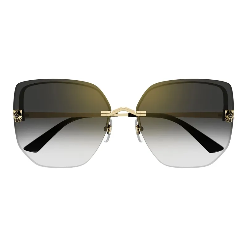 Cartier Rectangle Frame Sunglasses-1