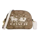 Bag+Dust Bag