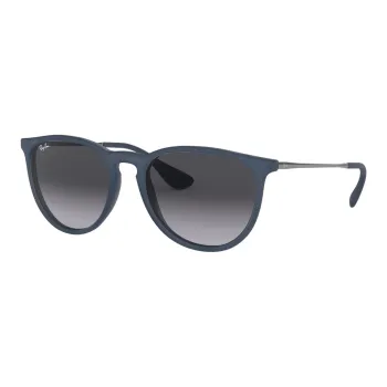 RayBan Erika Sunglasses