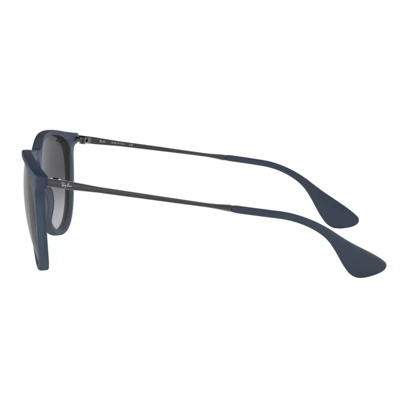 RayBan Erika Sunglasses-2
