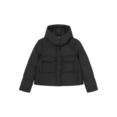 CLUB MONACO Down Jackets Women's Black